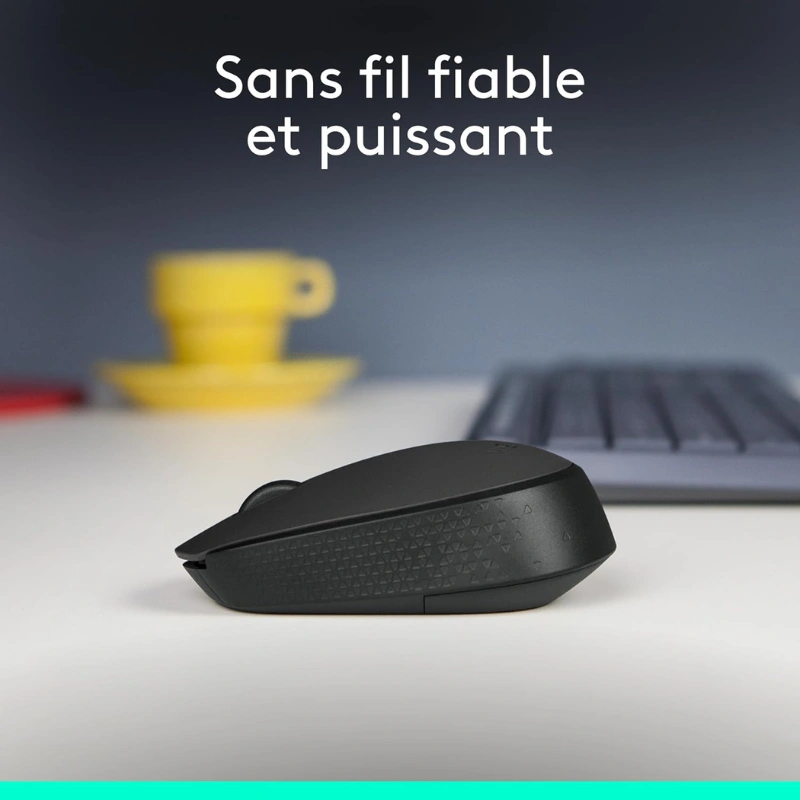 Souris Sans Fil Logitech M171 1