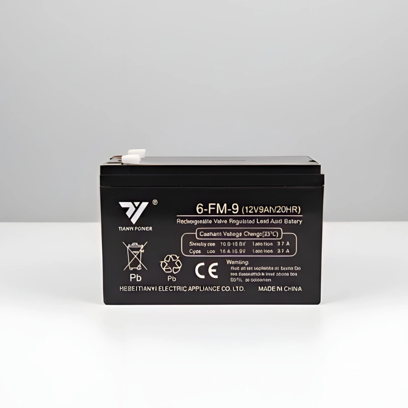 batterie onduleur 12V 9AH Tianyi